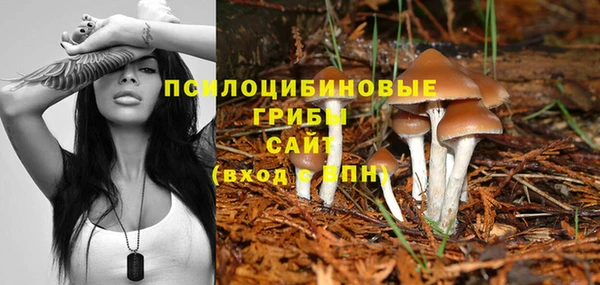 2c-b Майский